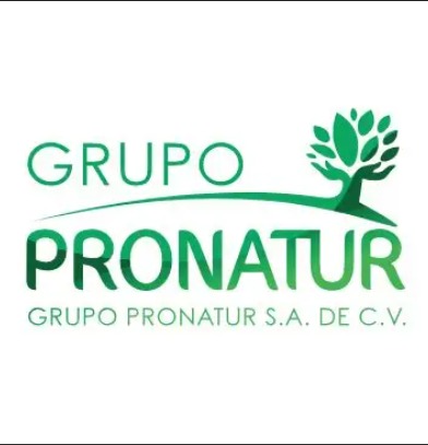 Marca Nueva 6